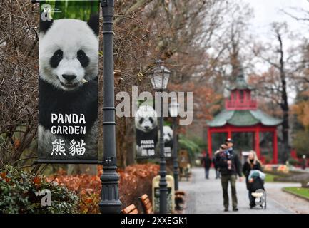 Berlin, Deutschland. Dezember 2023. Plakate von Riesenpanda sind im Zoo Berlin am 14. Dezember 2023 zu sehen. ZU „Giant Panda Meng Meng gibt Zwillinge im Berliner Zoo zur Welt“ Credit: Ren Pengfei/Xinhua/Alamy Live News Stockfoto