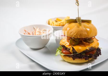 Hamburger mit Rindfleisch und Pommes frites Stockfoto