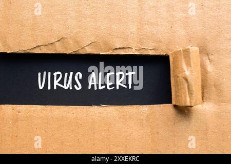 Virenwarnmeldung auf zerrissenem Papppapier mit schwarzem Hintergrund geschrieben. Konzeptionelles Virus-Warnsymbol. Kopierbereich. Stockfoto