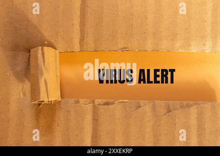 Virenwarnmeldung auf zerrissenem Papppapier mit orangem Hintergrund geschrieben. Konzeptionelles Virus-Warnsymbol. Kopierbereich. Stockfoto