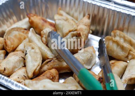 Blick auf ein Tablett in Catering-Größe mit Gyoza. Stockfoto