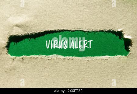 Virenwarnmeldung auf gerissenem Papier mit grünem Hintergrund. Konzeptionelles Virus-Warnsymbol. Kopierbereich. Stockfoto
