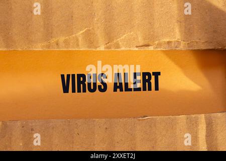 Virenwarnmeldung auf zerrissenem Papppapier mit orangem Hintergrund geschrieben. Konzeptionelles Virus-Warnsymbol. Kopierbereich. Stockfoto