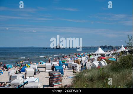 30.07.2024, Heringsdorf, Usedom, Vorpommern, Deutschland, Europa - Urlauber genießen einen sonnigen Tag zwischen Liegestühlen an der Ostsee. Stockfoto