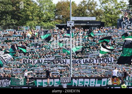 Münster, Deutschland. August 2024. Deutschland, Preussen Münster gegen 1.FC Kaiserslautern, Fussball, 2.Liga, 3. Spieltag, Spielzeit 2024/2025, 24.08.2024 Fans Pressen Münster DFL-VORSCHRIFTEN VERBIETEN JEDE VERWENDUNG VON FOTOGRAFIEN ALS BILDSEQUENZEN UND/ODER QUASI-VIDEO Foto: Eibner-Pressefoto/ Frank Zeising Credit: dpa/Alamy Live News Stockfoto