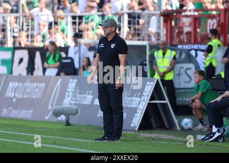 Münster, Deutschland. August 2024. Deutschland, Preussen Münster gegen 1.FC Kaiserslautern, Fussball, 2.Liga, 3. Spieltag, Spielzeit 2024/2025, 24.08.2024 Sascha Hildmann (Trainer Preussen Münster) DFL-VORSCHRIFTEN VERBIETEN JEDE VERWENDUNG VON FOTOGRAFIEN ALS BILDSEQUENZEN UND/ODER QUASI-VIDEO Foto: Eibner-Pressefoto/ Frank Zeising Credit: dpa/Alamy Live News Stockfoto