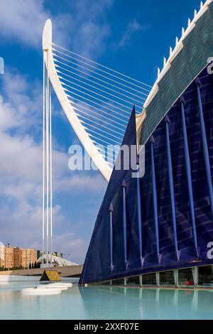 Pont de l'Assaut de l'Or, Seilbahnbrücke, Stadt der Künste und Wissenschaften, Valencia, Valencia, Valencia, Valencia, Spanien Stockfoto