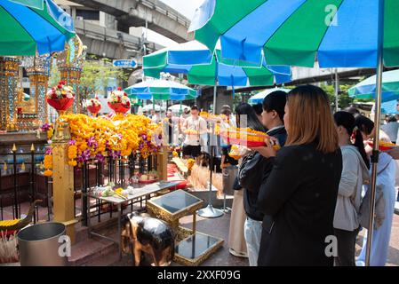 Bangkok, Thailand. August 2024. Die Gläubigen, Thailänder und Ausländer, beten am Schrein, um Segnungen, Erfüllung von Träumen, Erfolg am Erawan-Schrein (Thao Mahaprom-Schrein) am 24. August 2024 zu suchen. In Bangkok, Thailand. (Foto: Teera Noisakran/SIPA USA) Credit: SIPA USA/Alamy Live News Stockfoto