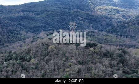 Hoch aufragende Stromleitungen schlängeln sich durch einen dichten, hügeligen Wald und heben den Kontrast zwischen künstlichen Strukturen und der ruhigen Bergkulisse hervor. Stockfoto