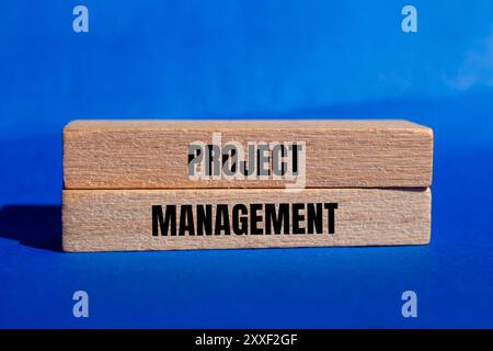 Projektmanagementnachricht auf Holzblöcken mit blauem Hintergrund. Symbol für konzeptionelles Projektmanagement. Kopierbereich. Stockfoto