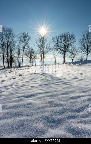 Vertikale Schneelandschaft im Winter mit Bäumen, direkt in die Sonne geschossen, um einen Stern zu erzeugen, frostiger sonniger Tag, Schatten von Bäumen, Winterhintergrund Stockfoto
