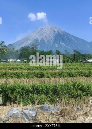 Mount Semeru, der höchste Berg auf der indonesischen Insel Java Stockfoto