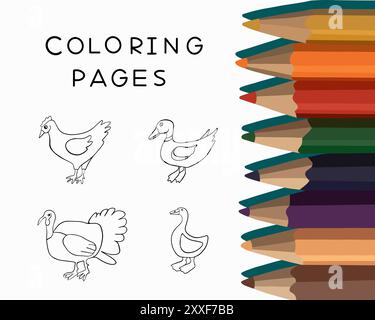Konturzeichnung von Geflügel. Malbuch für Kinder. Vektor-isolierte Illustration eines Sets von Geflügel zum Färben. Aufgaben für Vorschulkinder. Stock Vektor