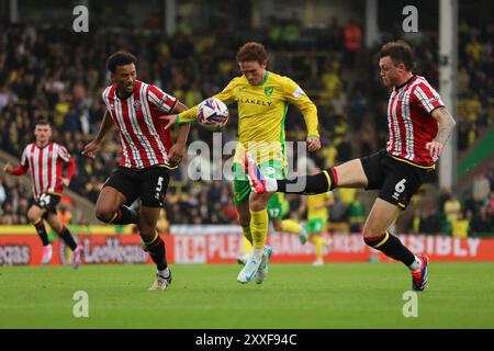 Norwich City's Josh Sargent (Mitte) kämpft um den Ball gegen Auston Trusty von Sheffield United (links) und Harry Souttar von Sheffield United (rechts) während des Sky Bet Championship-Spiels in Carrow Road, Norwich. Bilddatum: Samstag, 24. August 2024. Stockfoto