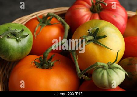 Verschiedene reife und unreife Tomaten im Korb auf dem Tisch, Nahaufnahme Stockfoto