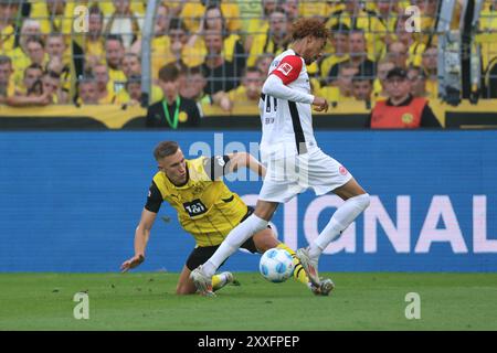 Nico Schlotterbeck (Borussia Dortmund, #4) gegen Hugo Ekitike (Eintracht Frankfurt, #11) GER, Borussia Dortmund gegen Eintracht Frankfurt, Fussball, 1.Liga, 1.Spieltag, Spielzeit 2024/2025, 24.08.2024 DFL-VORSCHRIFTEN VERBIETEN DIE VERWENDUNG VON FOTOGRAFIEN ALS BILDSEQUENZEN UND/ODER QUASI-VIDEO Foto: Eibner-Pressefoto/ Frank Zeising Stockfoto