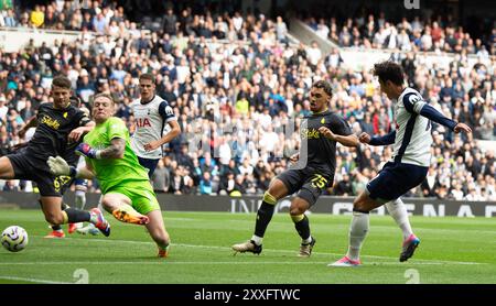 London, Großbritannien. August 2024. Heung-Min, Sohn von Tottenham Hotspur, erzielt sein Team das 4. Tor. Premier League-Spiel Tottenham Hotspur gegen Everton im Tottenham Hotspur Stadium in London am Samstag, den 24. August 2024. Dieses Bild darf nur für redaktionelle Zwecke verwendet werden. Foto nur für redaktionelle Verwendung von Sandra Mailer/Andrew Orchard Sportfotografie/Alamy Live News Credit: Andrew Orchard Sportfotografie/Alamy Live News Stockfoto