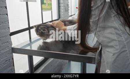 Eine Frau streichelt eine Katze sanft auf einem Untersuchungstisch aus Metall in einer Tierklinik und zeigt während einer Routine einen beruhigenden Moment zwischen Tier und Tierarzt Stockfoto