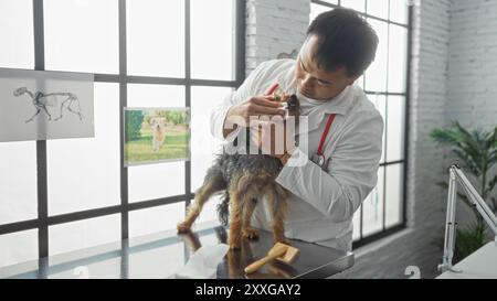 Ein junger chinese in einer Tierklinik untersucht einen Hund sorgfältig und zeigt seine Hingabe als professioneller Tierarzt in einem gut beleuchteten Innenbereich. Stockfoto