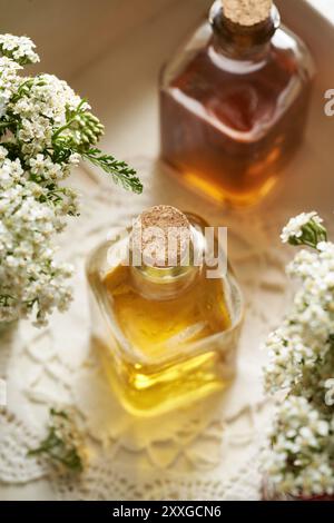 Schafgarbe-Tinktur in einer Glasflasche auf weißem Hintergrund Stockfoto