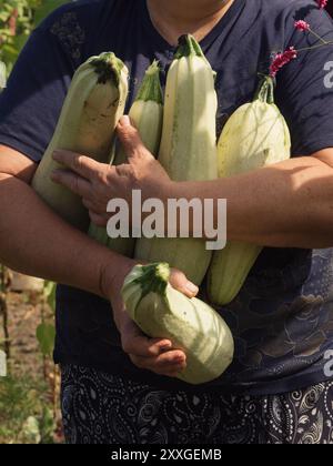 Proud Harvest: Vertikale Nahaufnahme einer älteren ukrainischen Frau mit frisch geerntetem Zucchini im Dorf Volyn Stockfoto