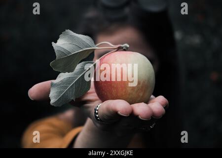 Nahaufnahme eines frischen roten Apfels mit grünen Blättern, die in einer offenen Palme vor einem unscharfen natürlichen Hintergrund gehalten werden. Stockfoto