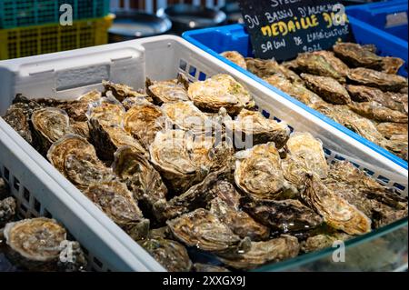 Frische lebende Austern verschiedener Größen in der Markthalle, die zum Mittagessen gegessen werden können, aus nächster Nähe, aus Austernzuchtdorf, Arcachon Bay, Gujan-Mestras, Bor Stockfoto