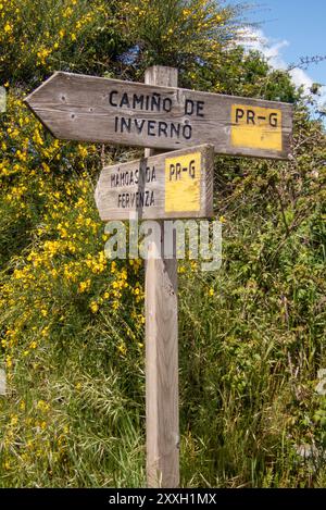 Ein Wegweiser in der Nähe der Stadt Rodeiro, der die Richtung auf dem Camino de Invierno auf dem Weg nach Santiago de Compostela zeigt Stockfoto