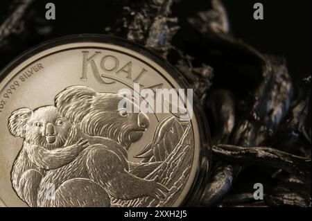 Australische reine Silbermünze in Kapsel 1 Dollar Koala 2023 Nahaufnahme. Stockfoto