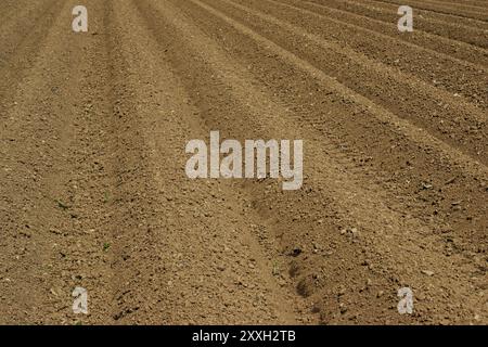 Die endlosen Ränge der Beete sind bereit für das Wachstum der neuen Ernte. Stockfoto