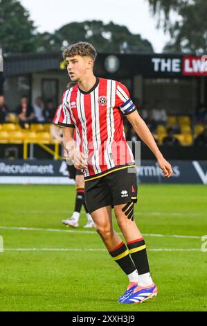 Harrogate Town spielt Sheffield United in einem Freundschaftsspiel vor der Saison im Übungsstadion in Harrogate am 23. Juli 2024 mit: Sheffield United Wo: Harrogate, Vereinigtes Königreich Wann: 23 Jul 2024 Credit: Graham Finney/WENN Stockfoto