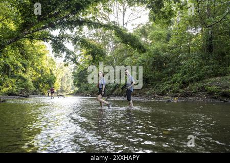 Junge Frau und Mann im tropischen Regenwald überqueren einen Bach, Touristen waten durch einen Bach, Corcovado Nationalpark, Osa Halbinsel, Puntarena Stockfoto