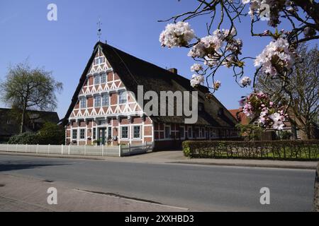 Europa, Deutschland, Niedersachsen, altes Land bei Hamburg, Steinkirchen an der Luehe, altes Fachwerkbauernhaus hinter dem Lueher Deich, künstlerischer Ziegelstein Stockfoto