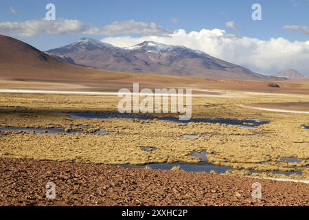 Panorama in der Atacama-wüste in Chile, in der Nähe von San Pedro de Atacama Stockfoto