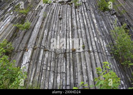 Basaltgestein. Detail, geologisch. Zlaty vrch. Der Goldberg in Nordböhmen Stockfoto