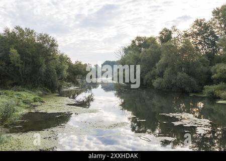 Isar altes Wasser, Isar Rückwasser Stockfoto