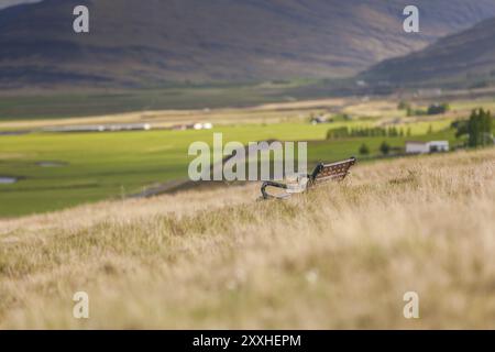 Holzbank steht auf der Heide auf Island Stockfoto