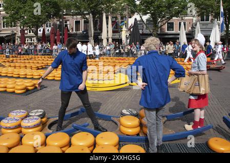 Alkmaar, Niederlande, Mai 2022. Die Käseträger werfen den Käse über und laden die käsekarre auf dem Alkmaar-Käsemarkt Stockfoto