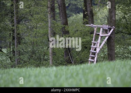 Hoher Sitz am Waldrand Stockfoto