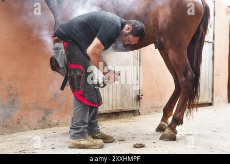 Farer, der den Schuh auf den Hufhu des Pferdes legt Stockfoto