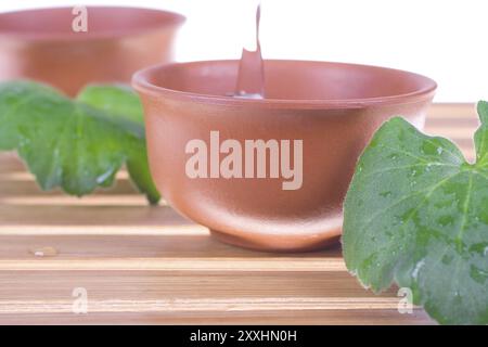 Teebaumöl zur Hautpflege auf weißem Hintergrund Stockfoto