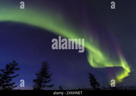 Nordlichter (Aurora borealis) über verschneite Landschaft, Gaellivare, Norrbotten, Lappland, Schweden, März 2013, Europa Stockfoto