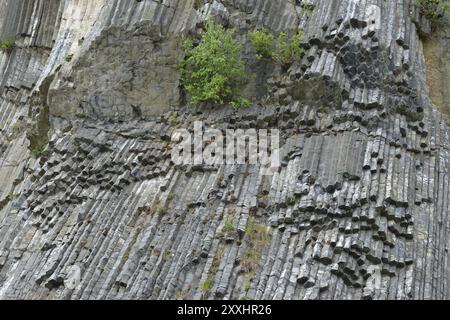 Der Basaltbruch von Zlaty vrch (Goldberg), Tschechische Republik. Basaltgestein. Detail, geologisch. Zlaty vrch Stockfoto