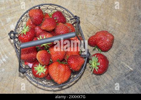 Erdbeeren in einer Tasse. Erdbeeren in einem Korb Stockfoto