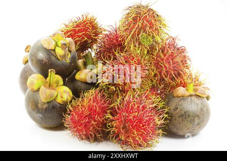 Rambutan und Mangostan auf weißem Hintergrund Stockfoto