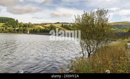Blick über die llwyn - am Stausee in der Nähe von Merthyr Tydfil, Mid Glamorgan, Wales, Großbritannien Stockfoto
