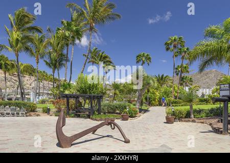 Park in Anfi del Mar, Playa de la Verga, Arguineguin, Gran Canaria, Kanarischen Inseln, Spanien, Anfi del Mar, Playa de la Verga, Gran Canaria, Kanarische Inseln Stockfoto