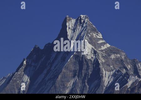 Mount Machapuchare, berühmter Berg des Annapurna-Gebirges, Nepal. Blick von Mohare Danda Stockfoto