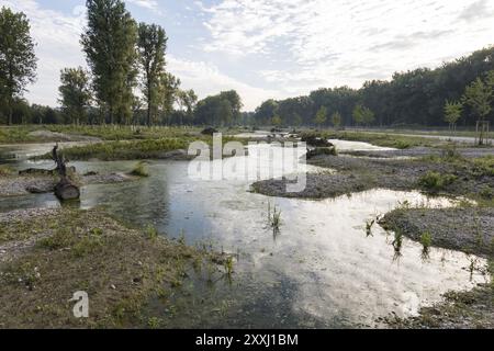 Isar altes Wasser, Isar Rückwasser Stockfoto