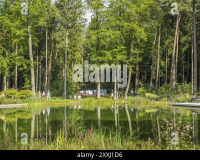 Ein großer Teich im Wald mit klaren Reflexen der Bäume und des Himmels, Bad Lippspringe, Deutschland, Europa Stockfoto